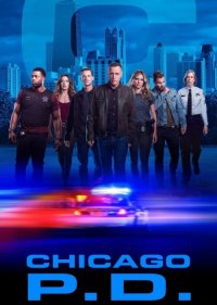  Полиция Чикаго  11 сезон